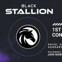 BlackStallion