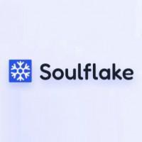 Soulflake
