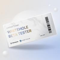 WhiteholeFinance